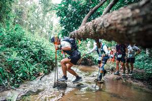 BIB: 
                            <button type="button" onclick="openModal(25372387)" class="btn btn-primary btn-sm float-right btn-popup" data-toggle="modal" data-target=".modal-high-quality">
                        <i class="fas fa-shopping-cart"></i> Add to Cart
                    </button>
                                            <button type="button" onclick="isThisMe(25372387, true)" class="btn btn-success btn-sm float-right btn-popup btn-isme hidden" data-toggle="tooltip" data-placement="bottom" title="นี่คือรูปของคุณใช่ไหม คลิกที่นี่เพื่อเอาเข้าอัลบั้ม">
                        <i class="fas fa-plus"></i> Add to album
                    </button>
                    <button type="button" onclick="isThisMe(25372387, false)" class="btn btn-warning btn-sm float-right btn-popup btn-isnotme hidden">
                        <i class="fas fa-ban"></i> Remove from album
                    </button>